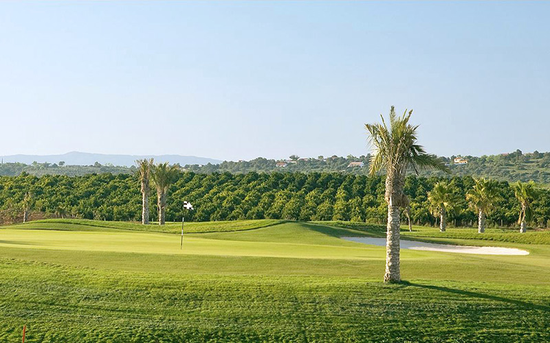 amendoeira o connor jnr golf algarve