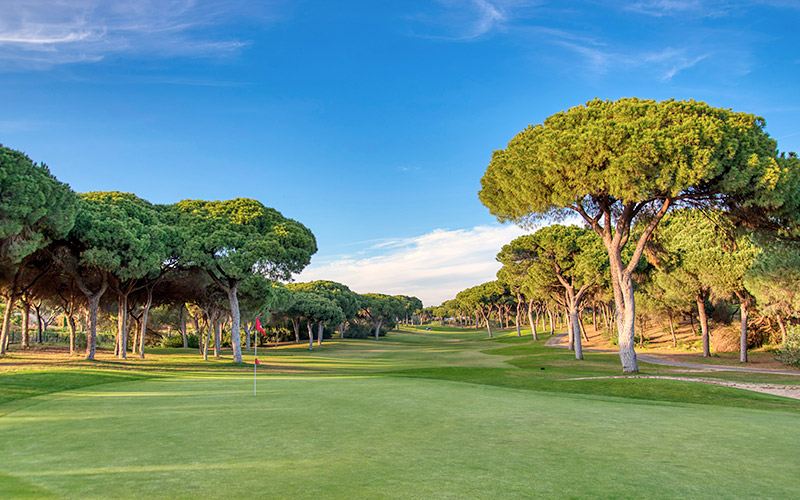 dom pedro millennium golf vilamoura algarve