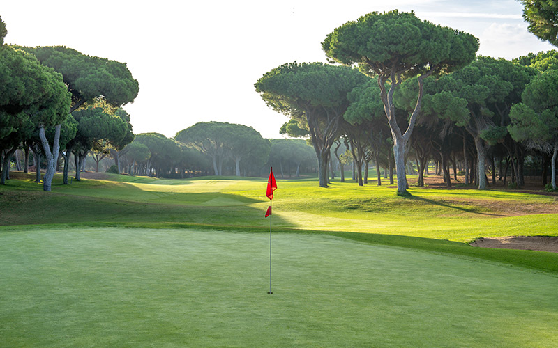 millennium golf vilamoura algarve portugal